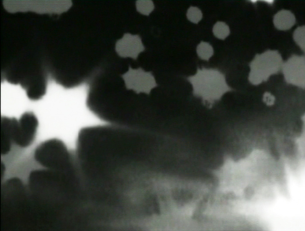5_alessandra-arno_stars Alessandra Arnò, Stars, Italia/2003, 4’, b/w. Courtesy by Alessandra Arnò