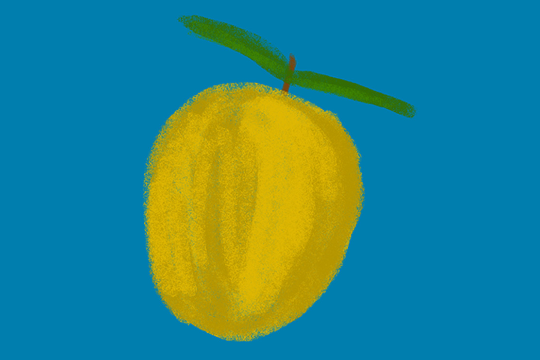 limone_cover_ilcanedipavlov