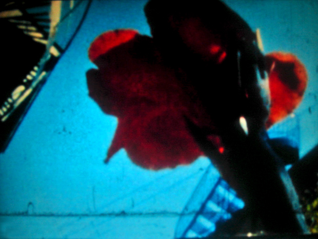 All_That_Rises_01