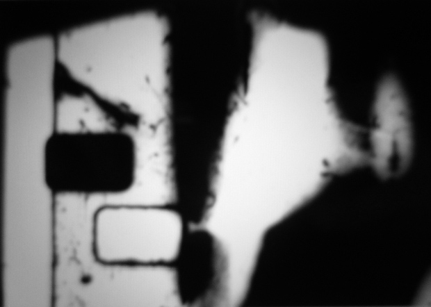 perceptual subjectivity