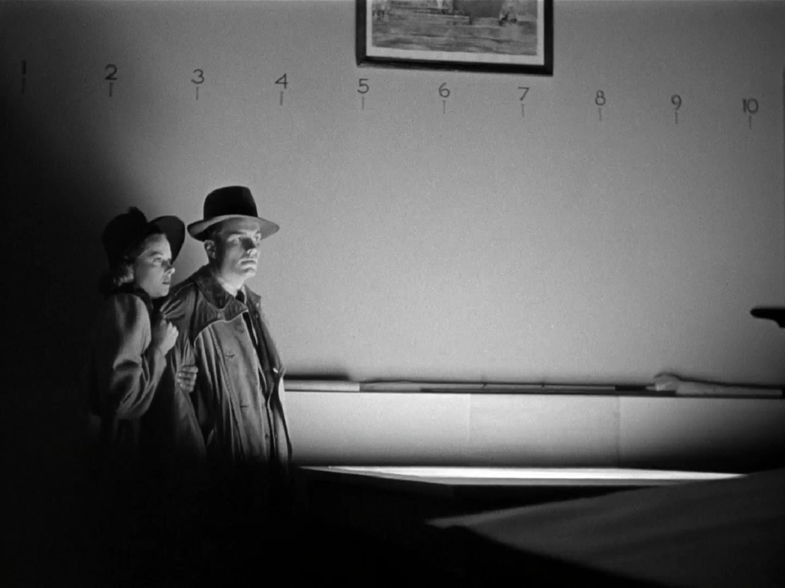 cat-people01