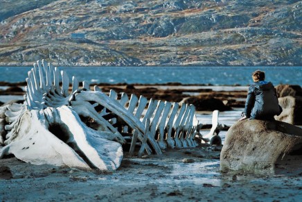 Leviathan > Andrej Zvjagincev